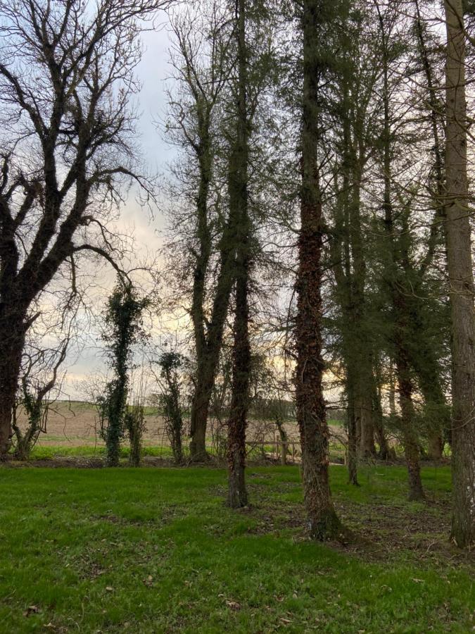Вілла Kildare Countryside Pods Екстер'єр фото