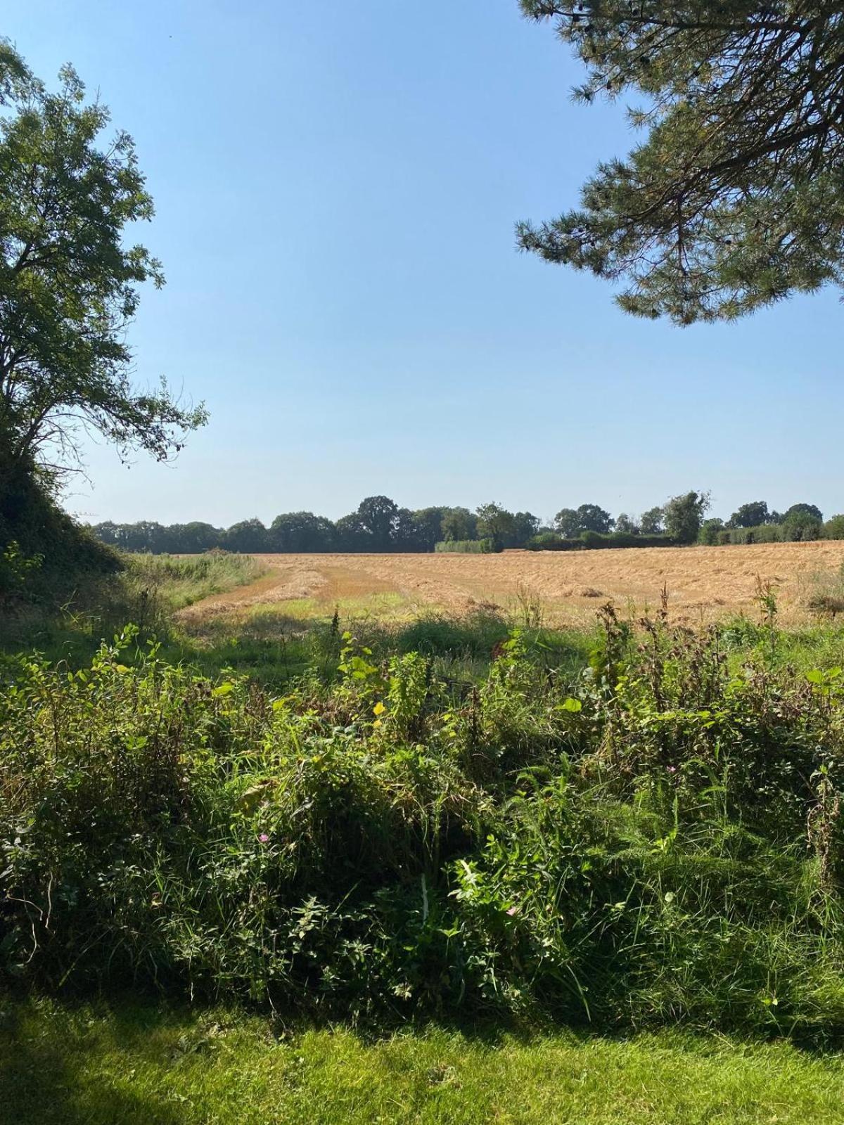 Вілла Kildare Countryside Pods Екстер'єр фото